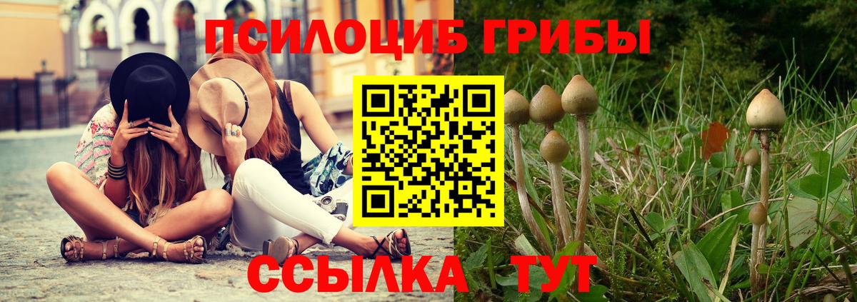 Алапаевск  купить наркоту  Галлюциногенные грибы Cubensis  Вход с VPN  Псилоцибиновые грибы мицелий 